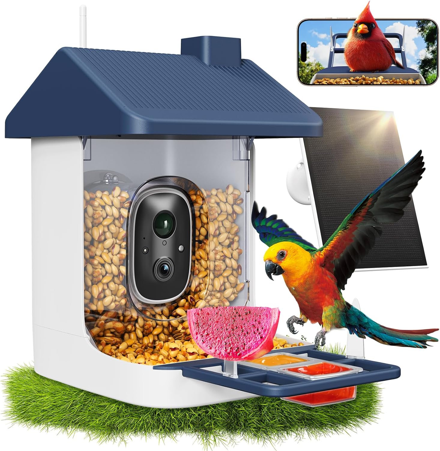 Solar Powered Watch - Solar-Powered Smart Bird Feeder with 2K