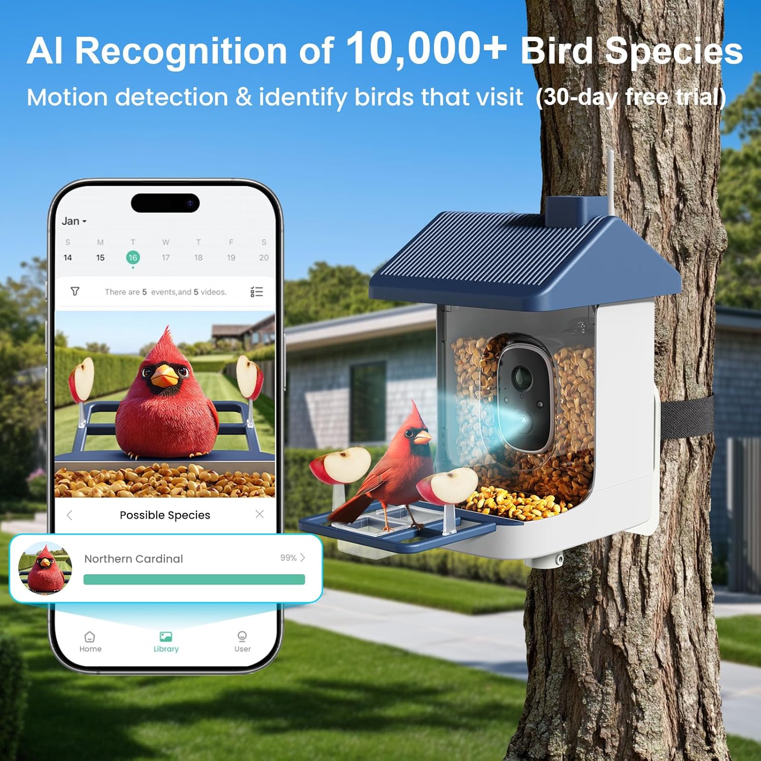 Solar-Powered Smart Bird Feede - Solar Powered Watch avis et prix