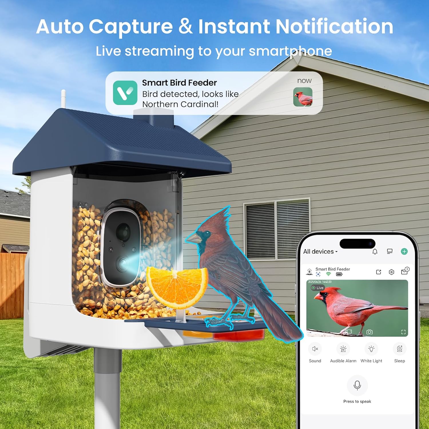 Solar-Powered Smart Bird Feede - Solar Powered Watch avis et prix