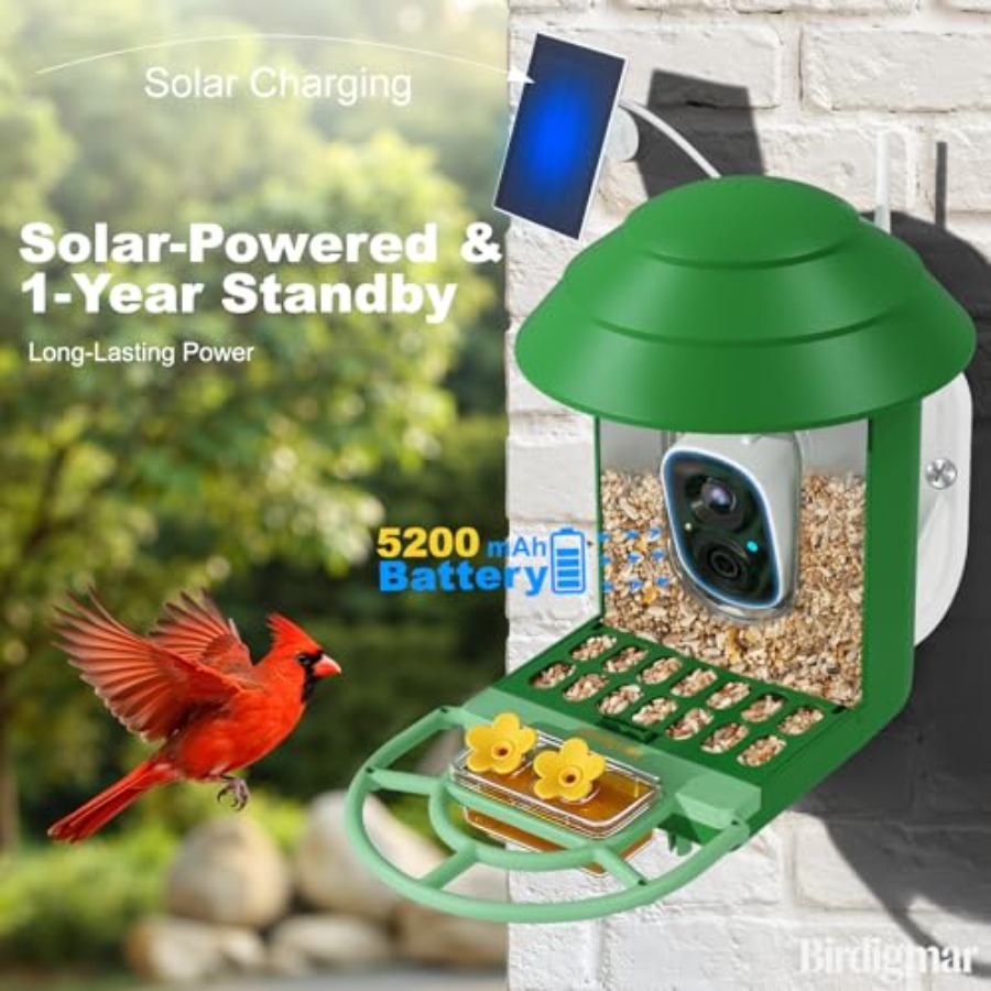 Bird Feeder with Camera for Ou - Solar Powered Watch avis et prix